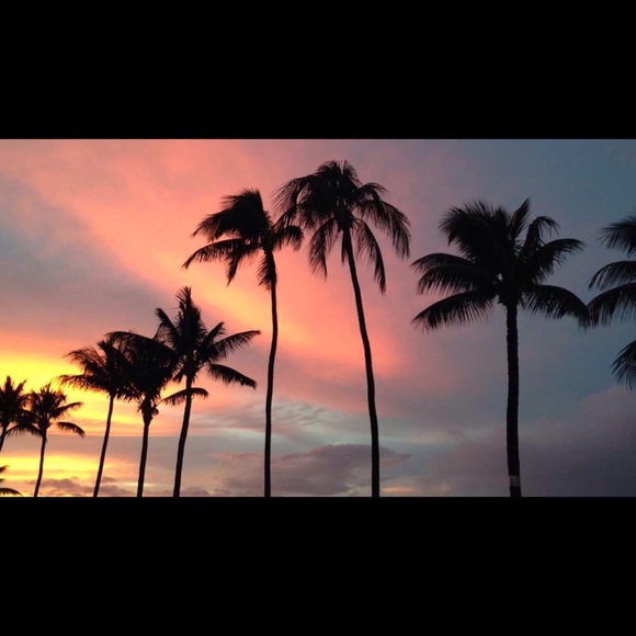 Meet your Posher, Nancy - Picture 1 of 2